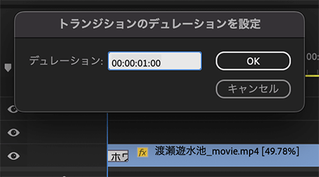 Premiere Pro